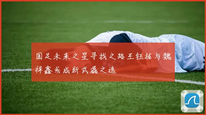 国足未来之星寻找之路王钰栋与魏祥鑫或成新武磊之选